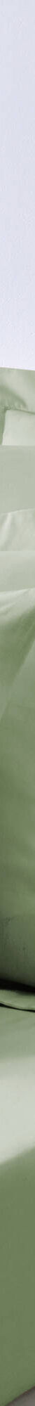 Linge de lit uni polyester-coton Colombine (vert amande) Linge de lit uni polyester-coton Colombine (vert amande)
